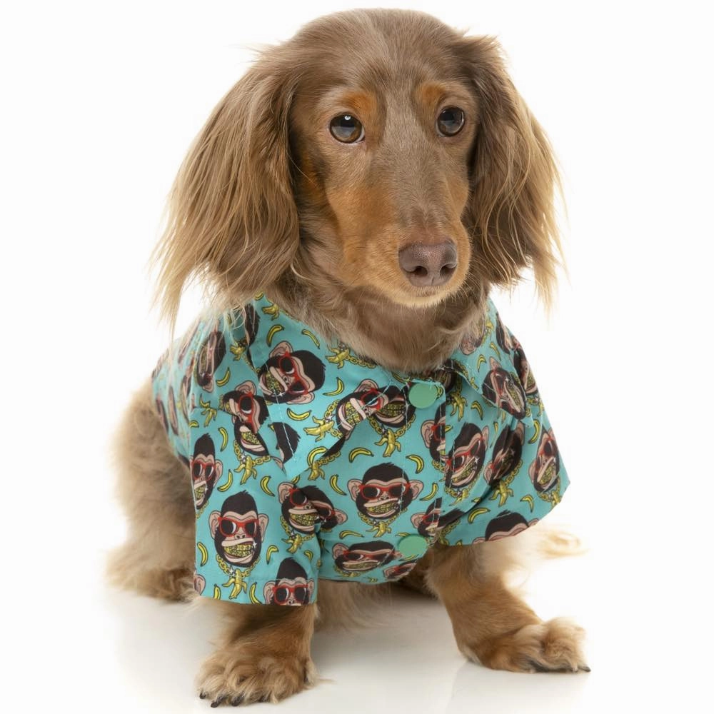 10% OFF: FuzzYard Button Up Shirt For Dogs (Gor-illz)