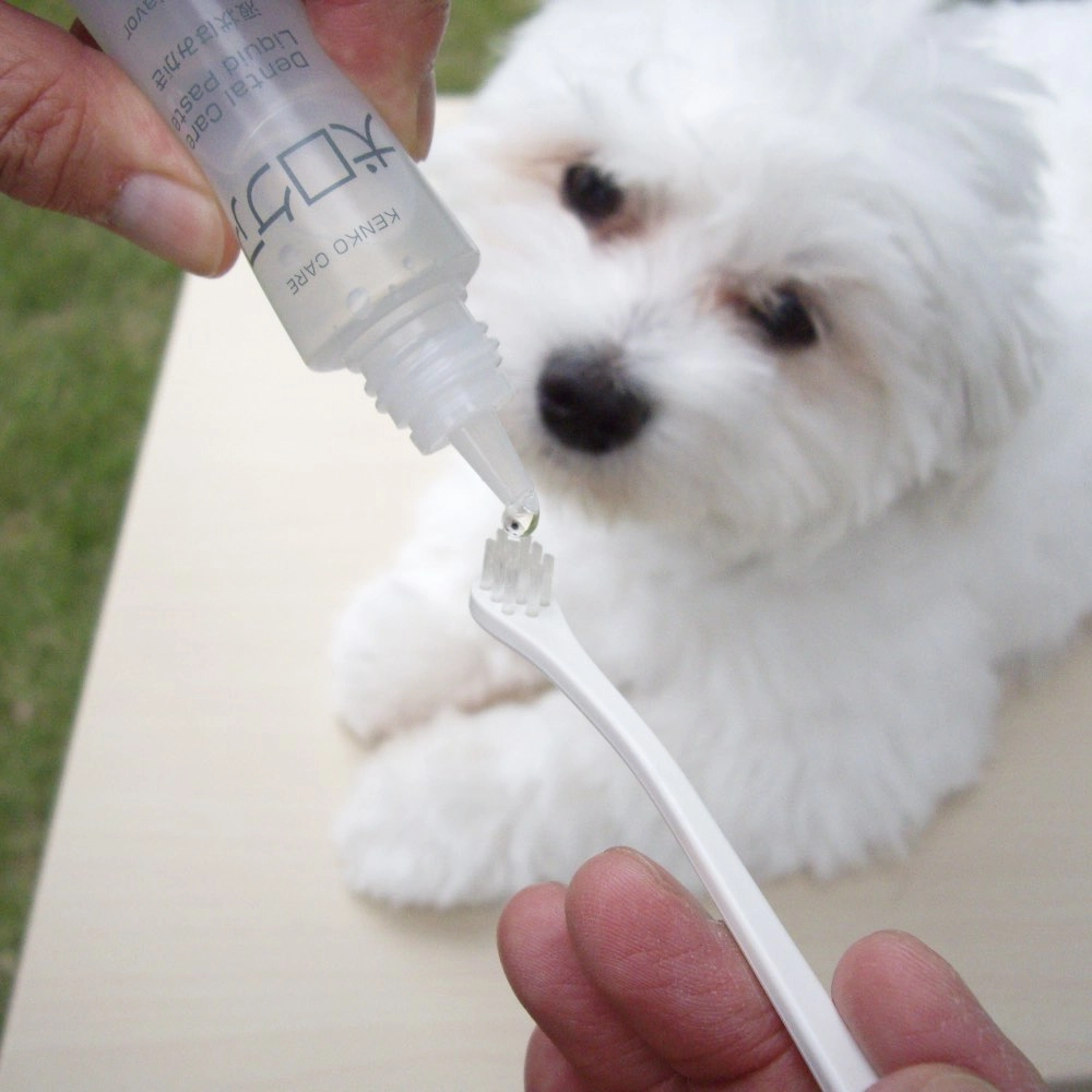 10% OFF: Mind Up Kenko Care Toothbrushing Liquid For Dogs 30ml