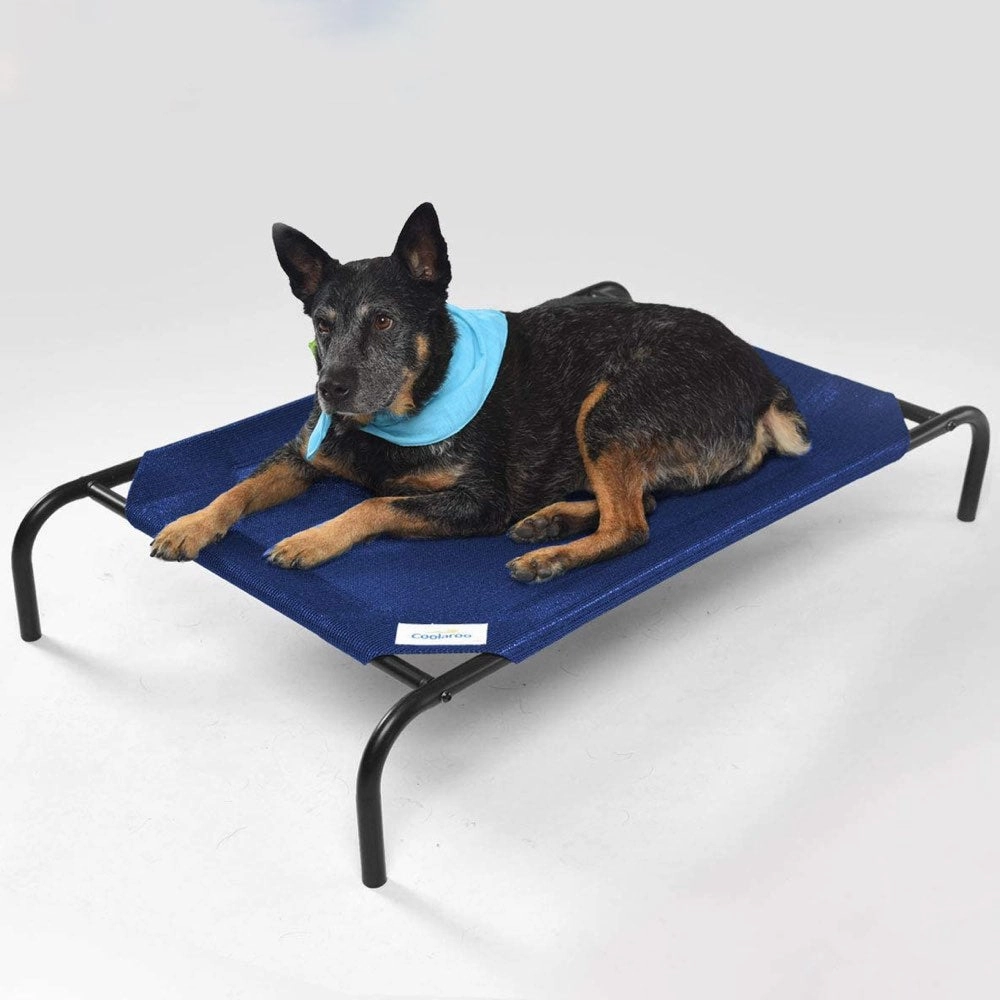 15% OFF: Coolaroo Elevated Bed For Cats & Dogs (Aquatic Blue)