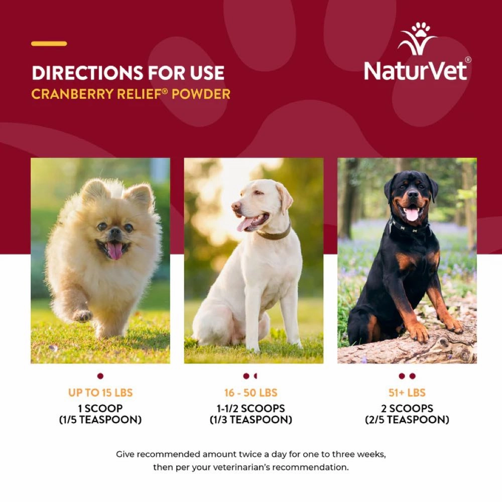 15% OFF: NaturVet Cranberry Relief Plus Echinacea Powder Supplement For Dogs & Cats 50g