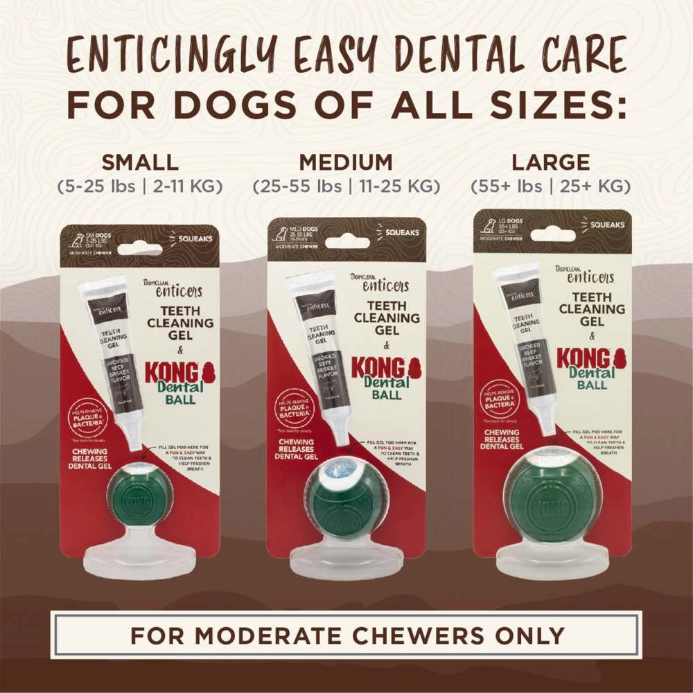15% OFF:TropiClean Enticers Teeth Cleaning Gel & Kong Dental Ball Dog Toy (Medium)