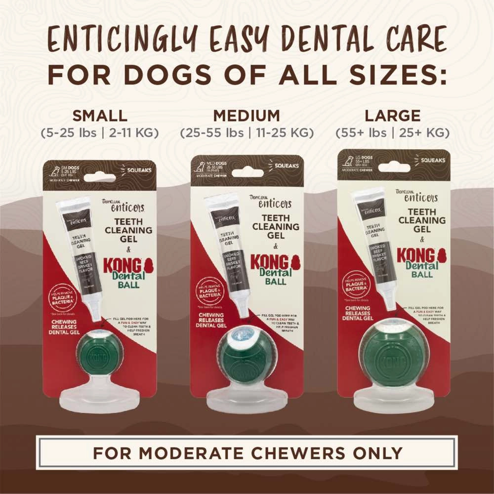 15% OFF:TropiClean Enticers Teeth Cleaning Gel & Kong Dental Ball Dog Toy (Small)