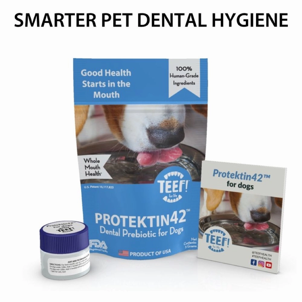 20% OFF: Teef! Protektin42 Prebiotic Dental Powder Dog Water Additive 3g