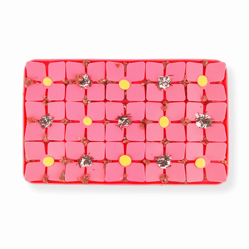 3D Clover Rectangle Slow Feeder