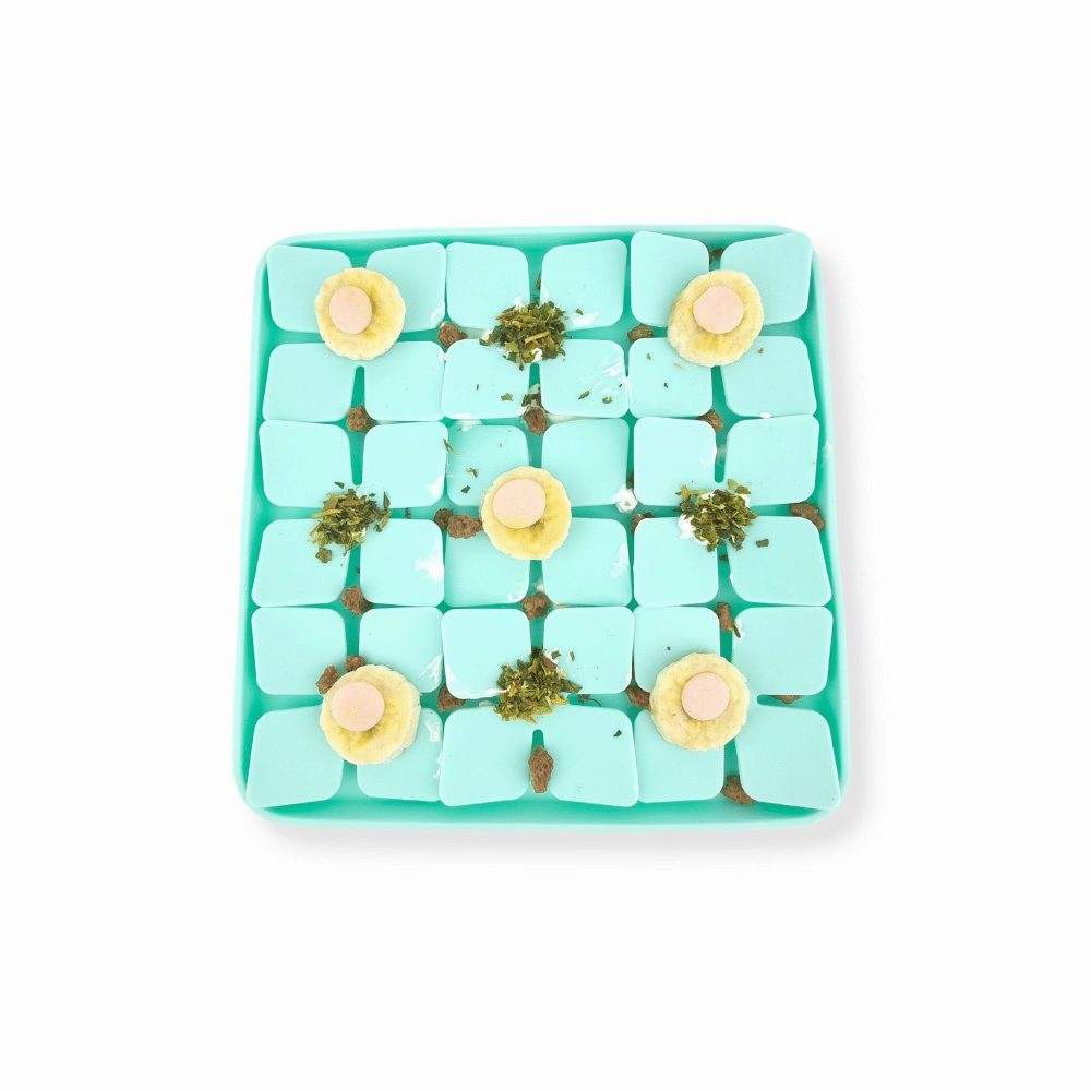 3D Clover Square Slow Feeder