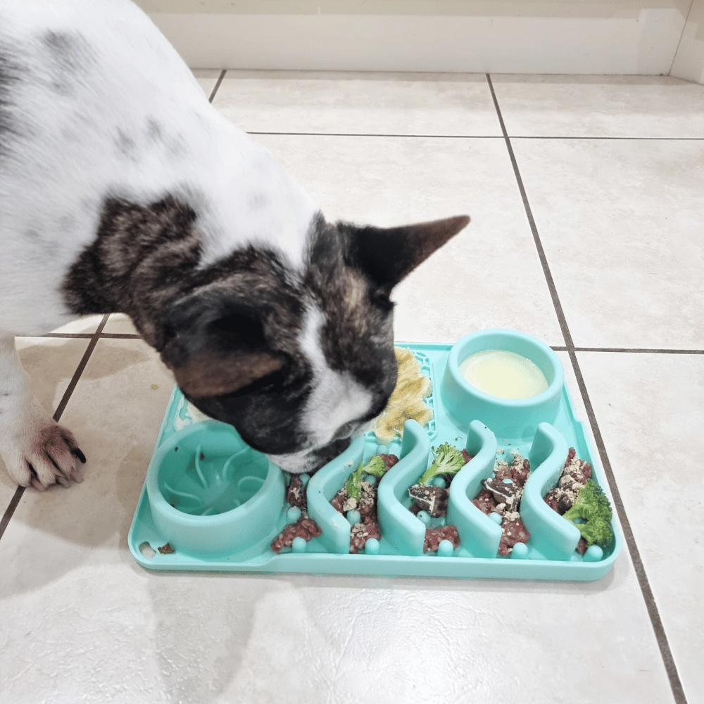 4 In 1 Lick And Slow Feeder Mat