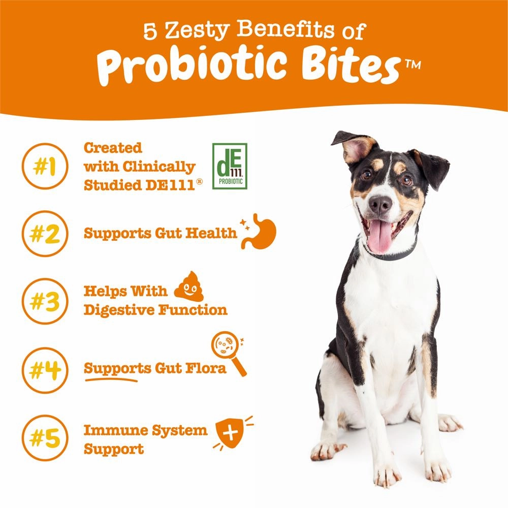 $3 OFF (Exp Jul 25): Zesty Paws Probiotic Bites Pumpkin Dog Supplement Trial Pack 10 chews