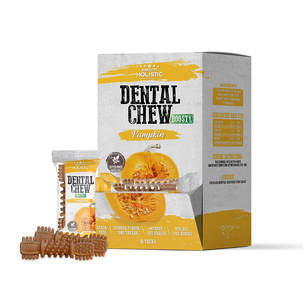 Absolute Holistic Dog Boost Dental Chew Pumpkin 25g (4")
