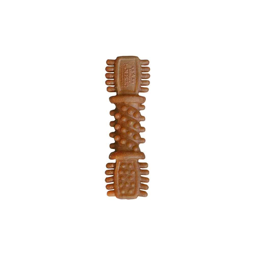 Absolute Holistic Dog Boost Dental Chew Pumpkin 25g (4")