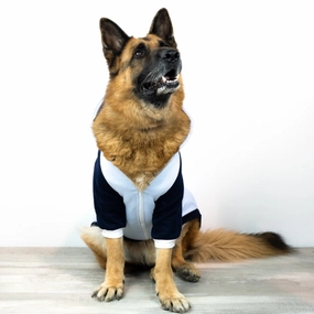 dog wear