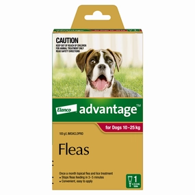 Dog Flea Tick & Deworming