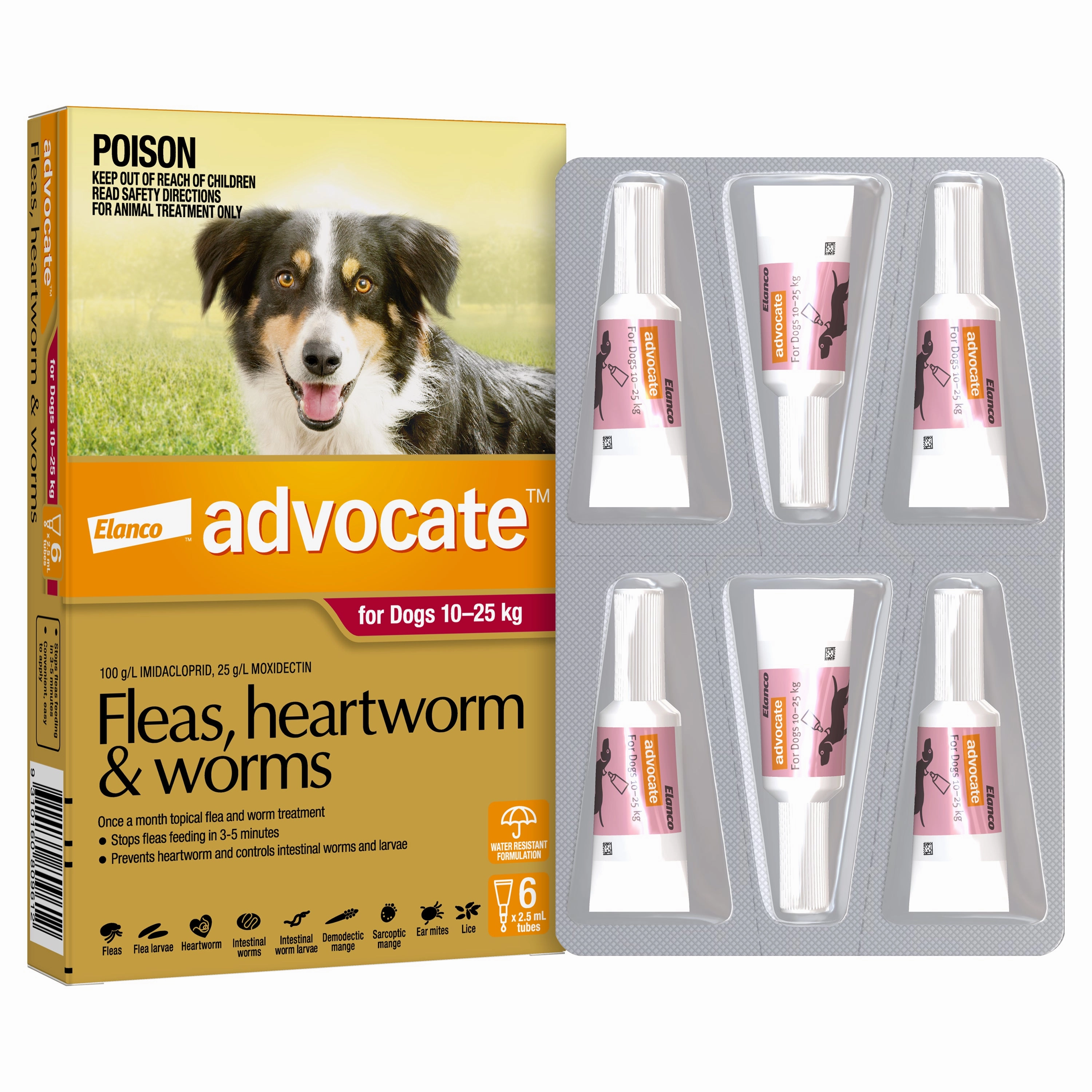 Advocate - Dog 10-25kg (6pk)