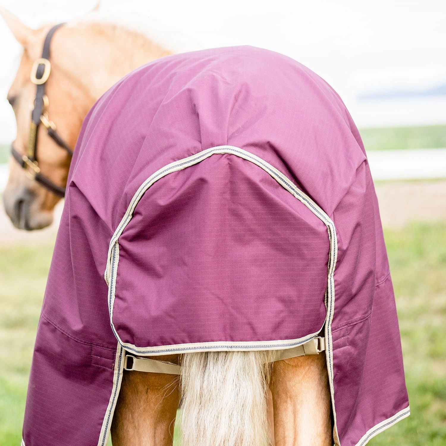 Amigo Hero Ripstop Plus Turnout, Fig/Navy