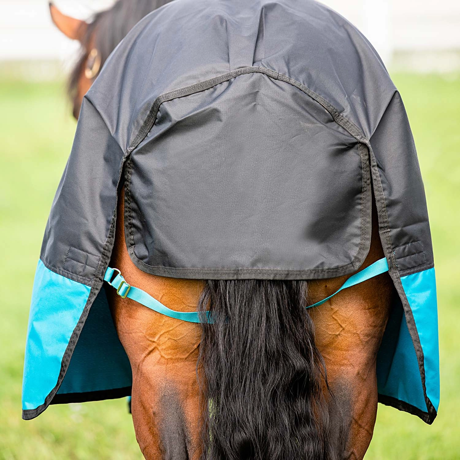 Amigo Mio Turnout, Medium Weight