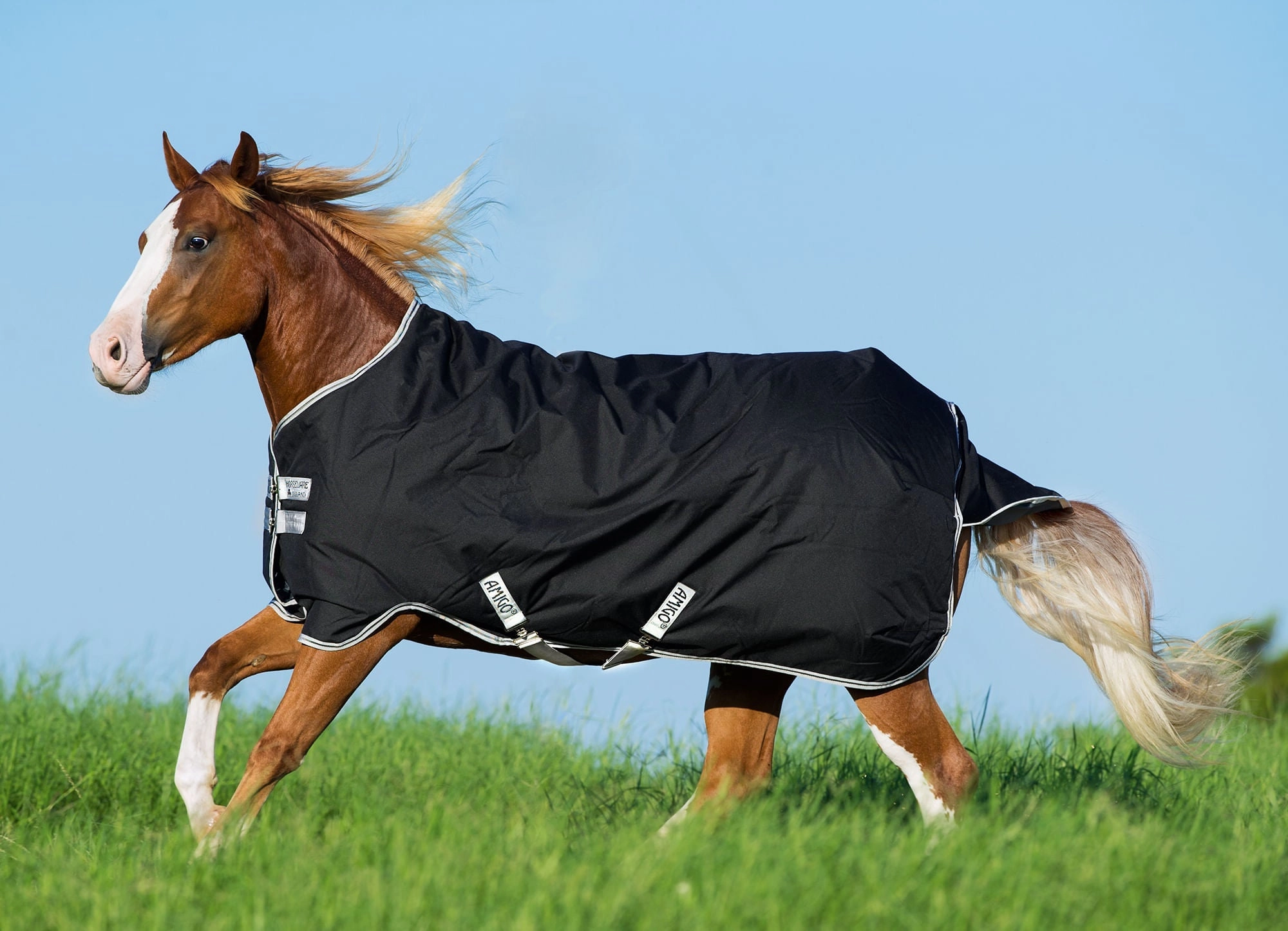 Amigo Stock Medium Weight Horse Turnout Blanket