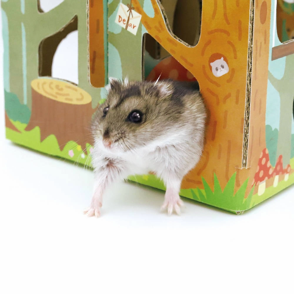Animan Cardboard Playland for Hamsters (Forest)