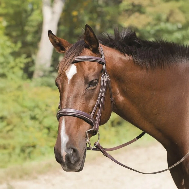Avignon Wellington Bridle
