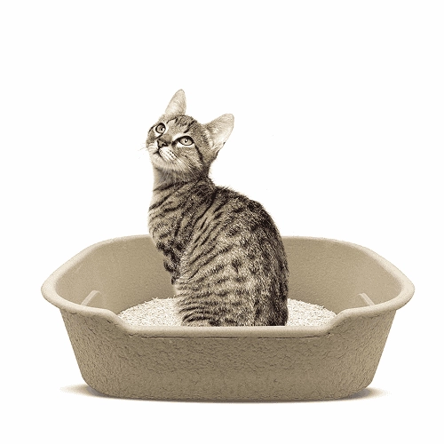 Barkbutler x Fofos Disposable Litter Box for Cats (Beige)