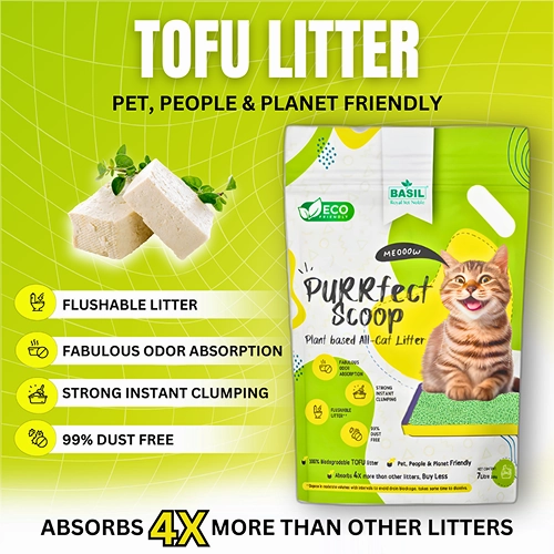 Basil Purrfect Green Tea Scented Clumping Cat Litter