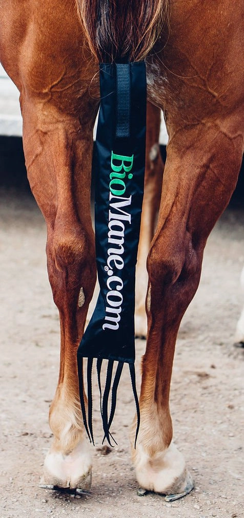 BioMane Tail Bag