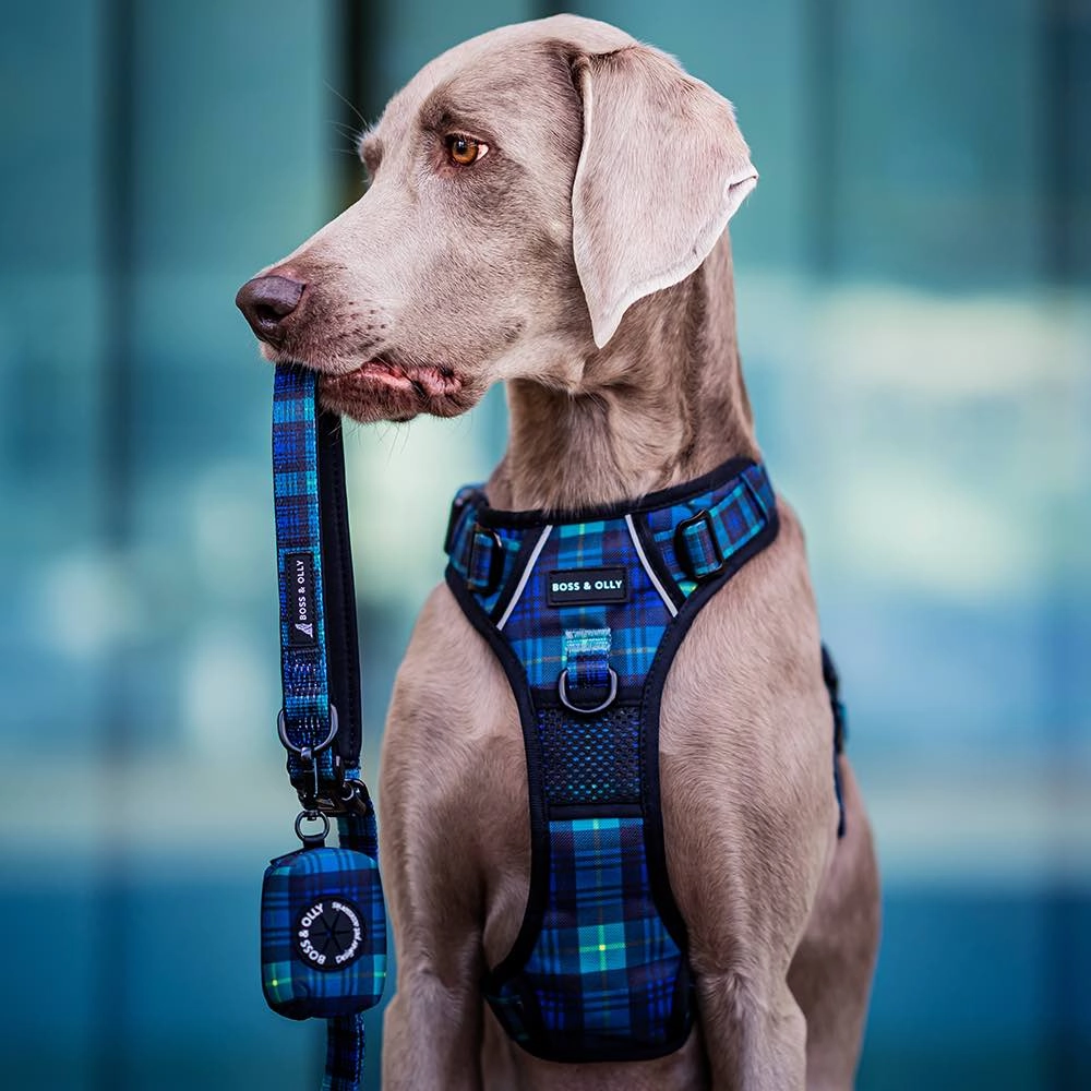 Boss & Olly Dog Poo Bag Holder (Forest Plaids)