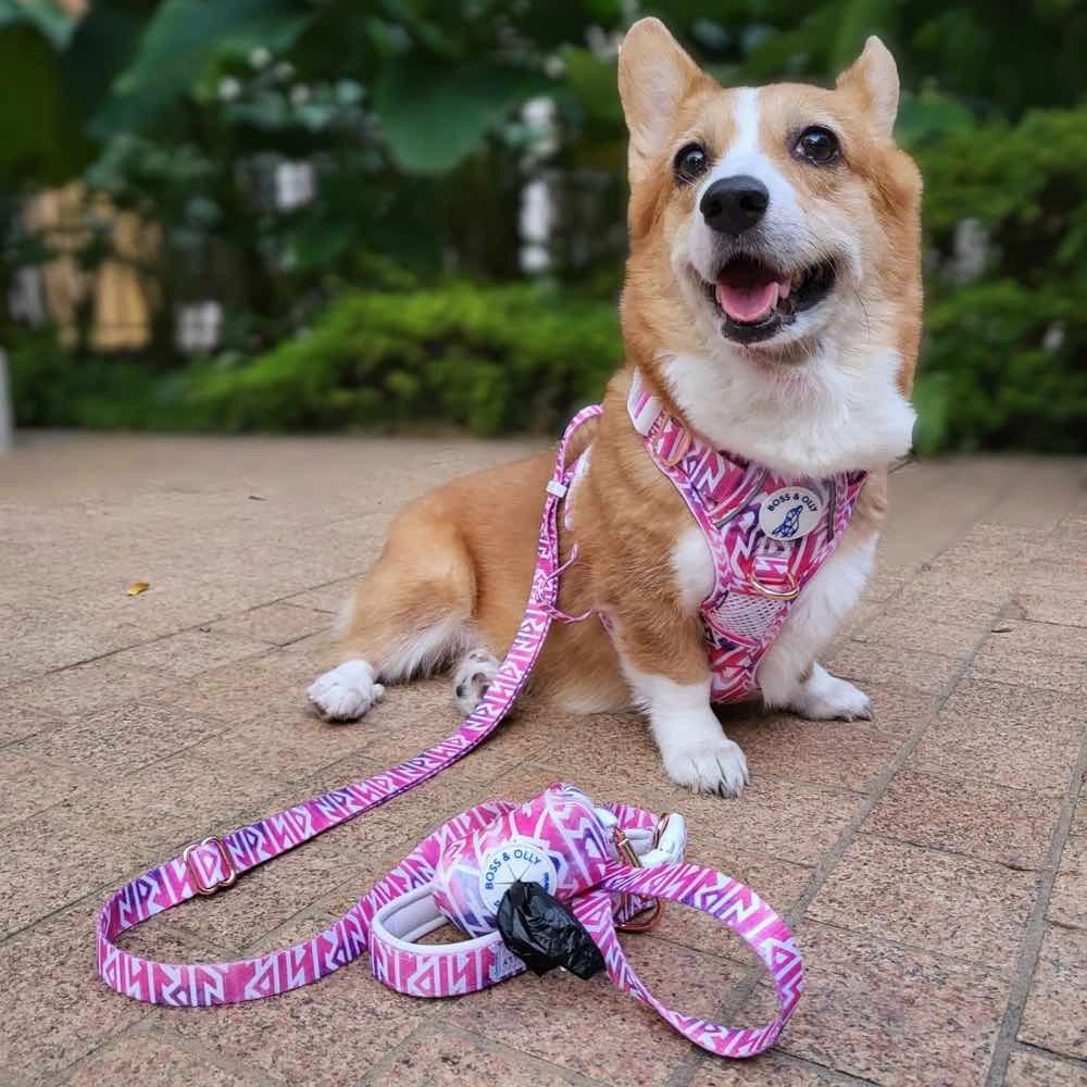 Boss & Olly Dog Poo Bag Holder (Fruity Sorbet)