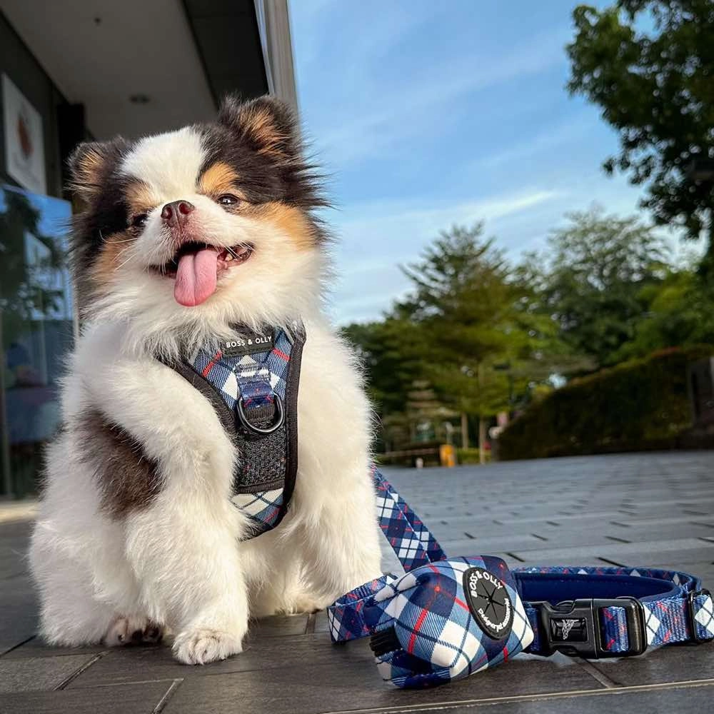 Boss & Olly Dog Poo Bag Holder (Nautical Plaids)