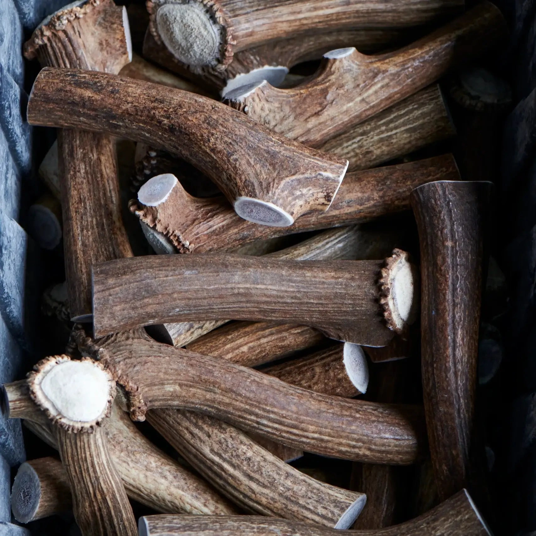 Buck Bone Organics Elk Antler Whole