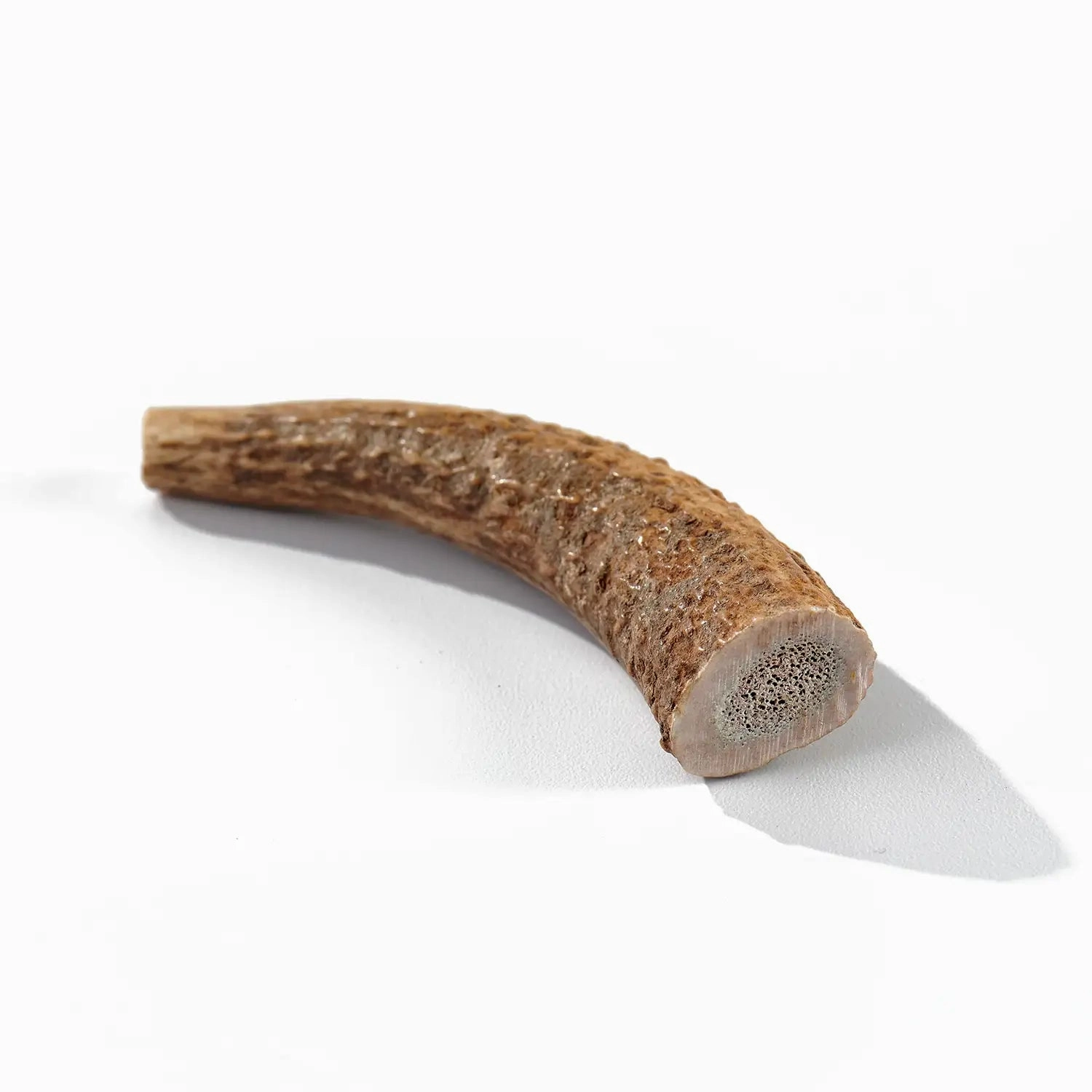 Buck Bone Organics Elk Antler Whole