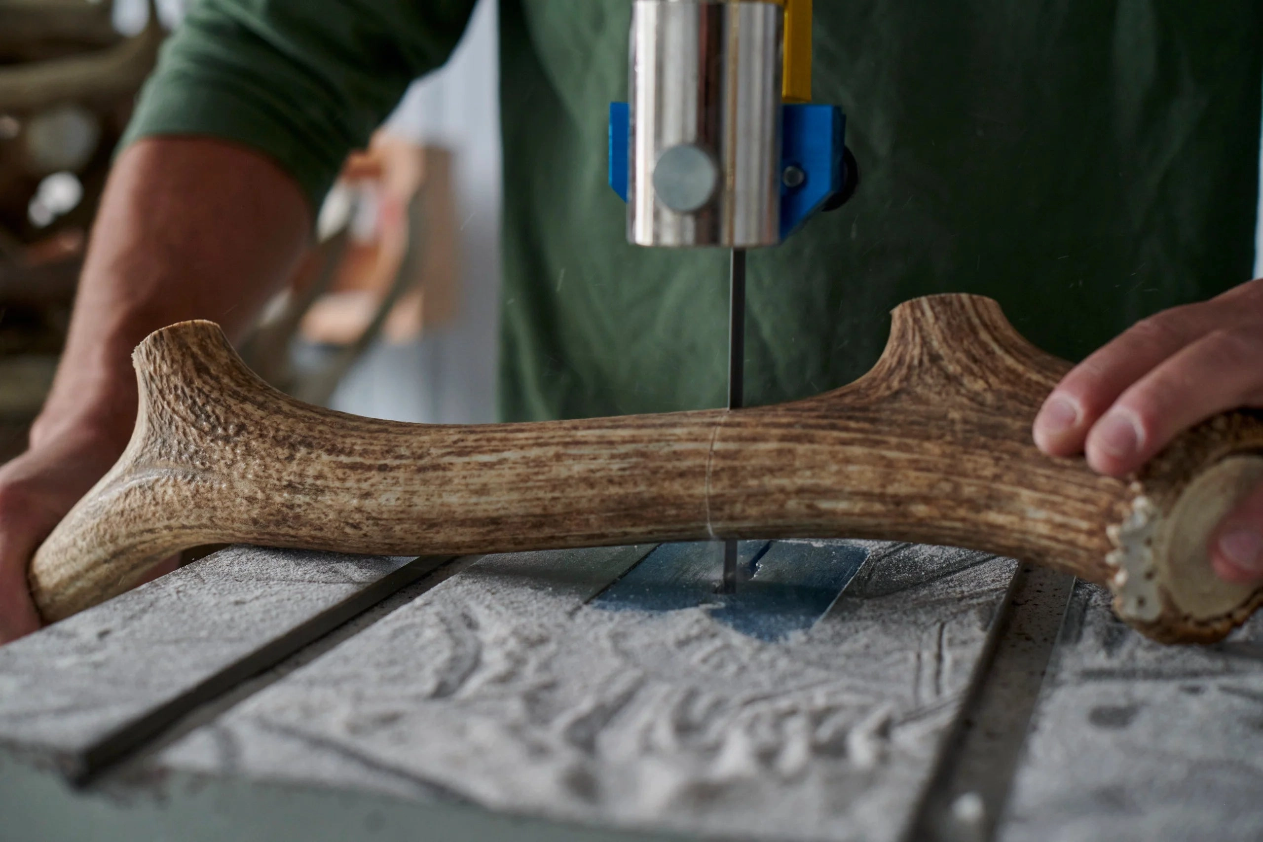 Buck Bone Organics Elk Antler Whole