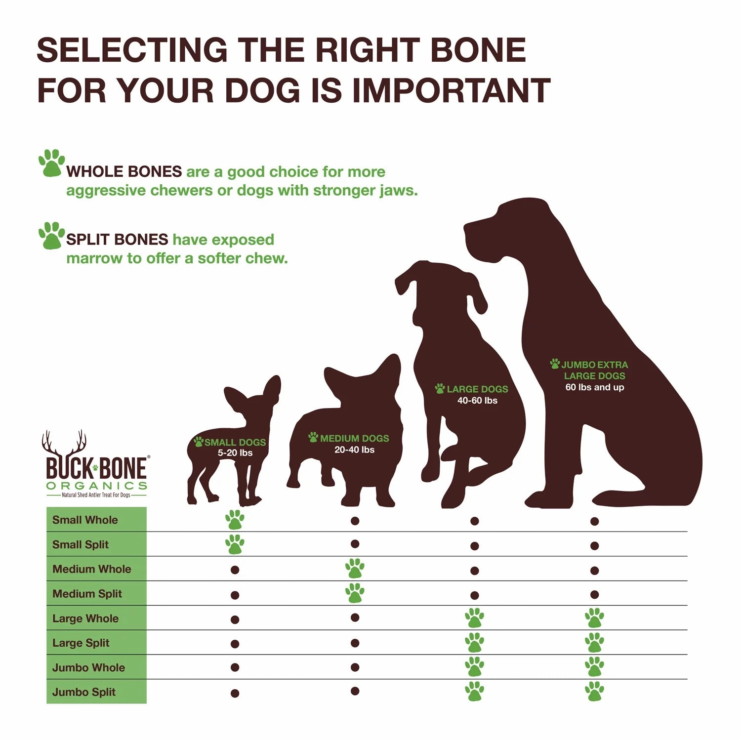 Buck Bone Organics Elk Antler Whole