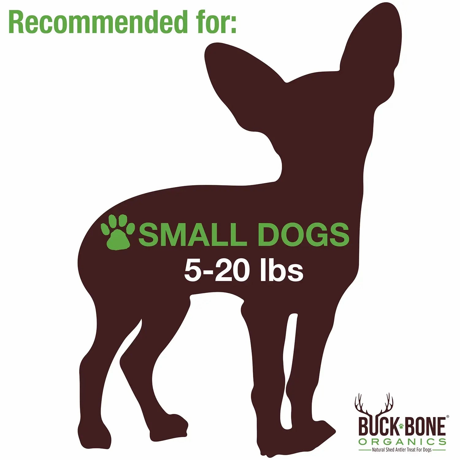 Buck Bone Organics Elk Antler Whole