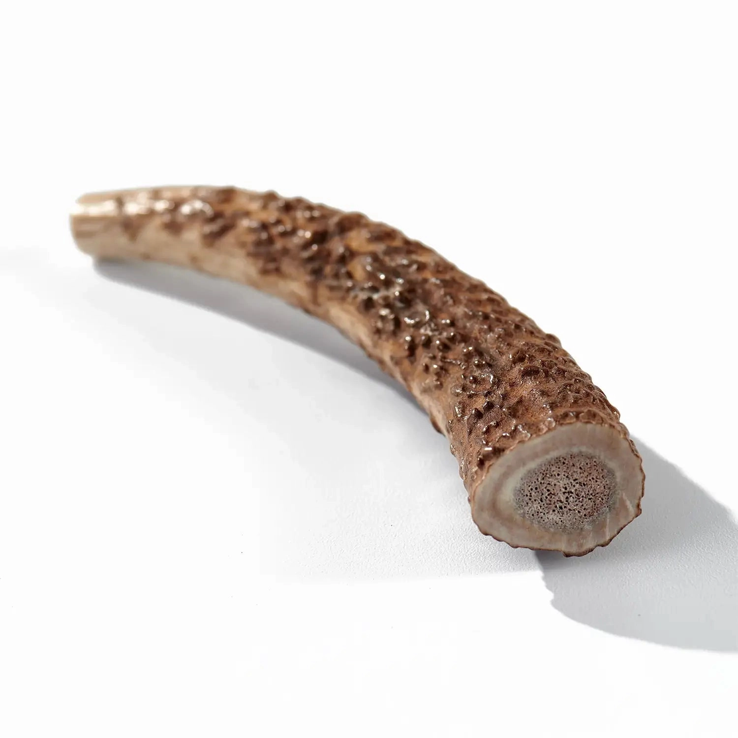 Buck Bone Organics Elk Antler Whole