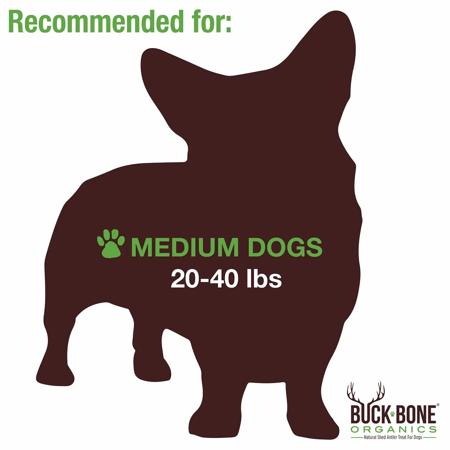 Buck Bone Organics Elk Antler Whole