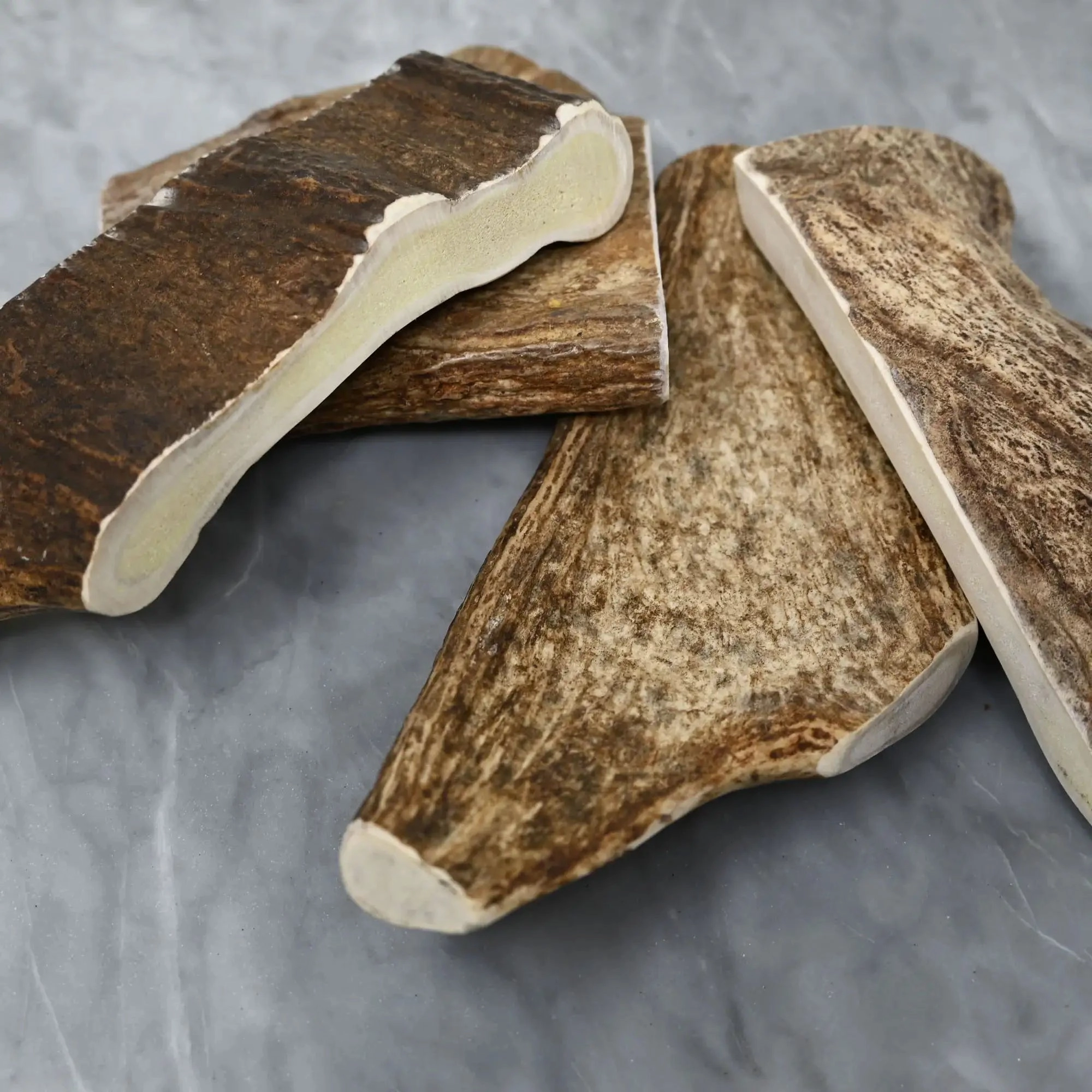 Buck Bone Organics Moose Antler