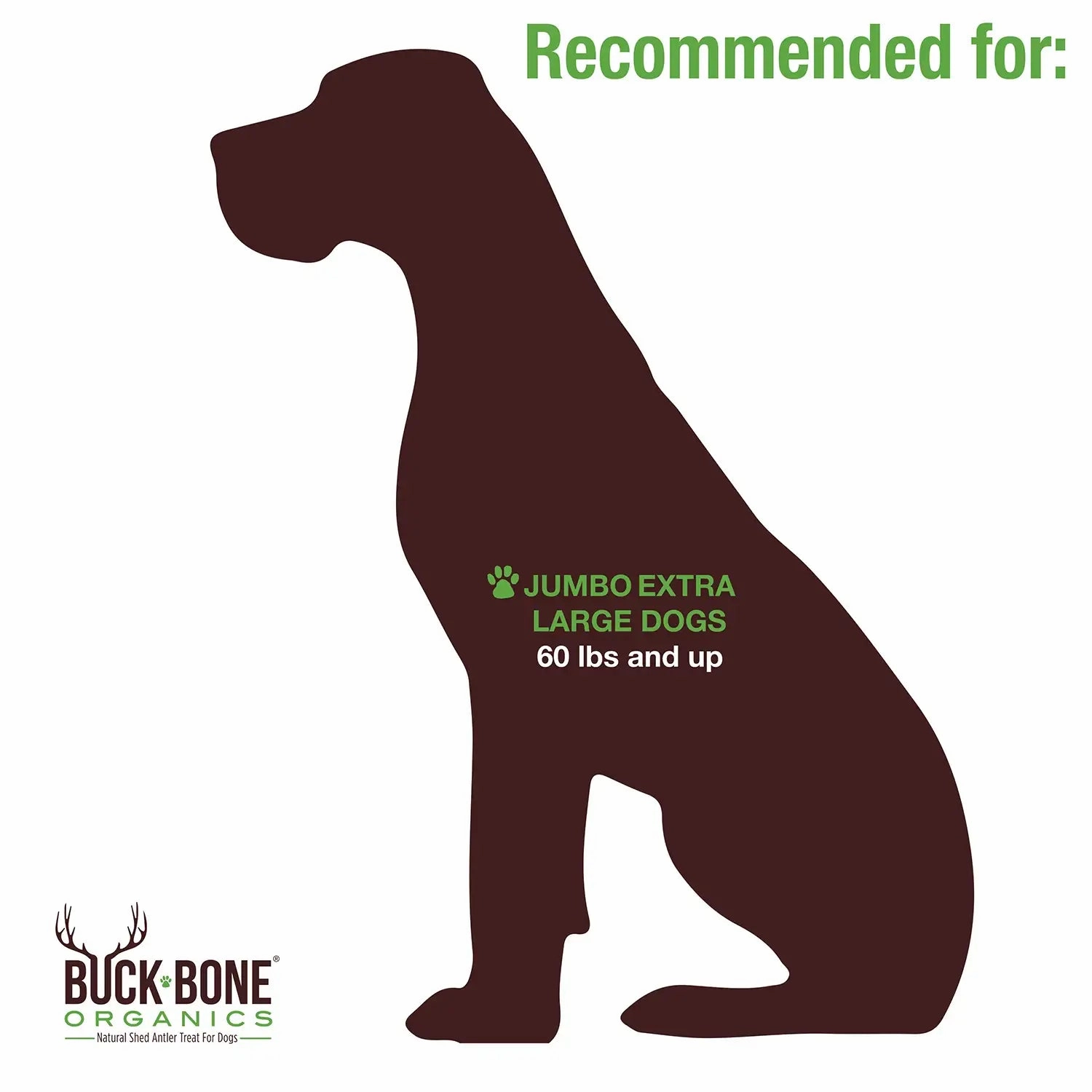 Buck Bone Organics Split Elk Antler