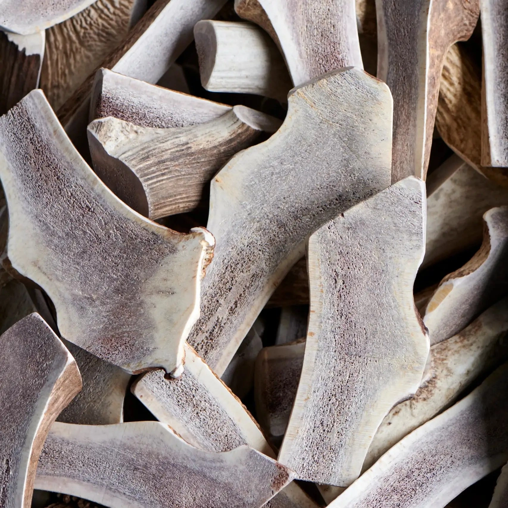 Buck Bone Organics Split Elk Antler