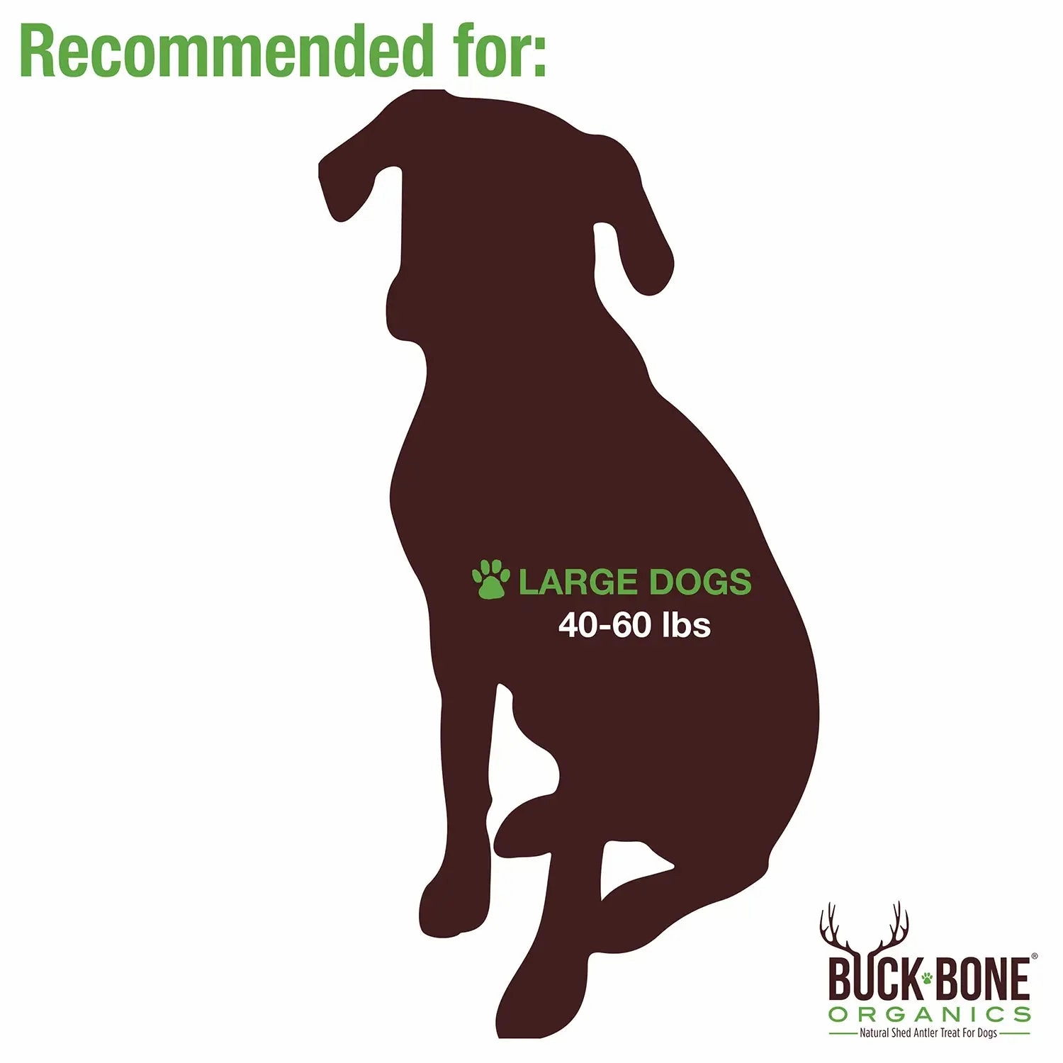 Buck Bone Organics Split Elk Antler