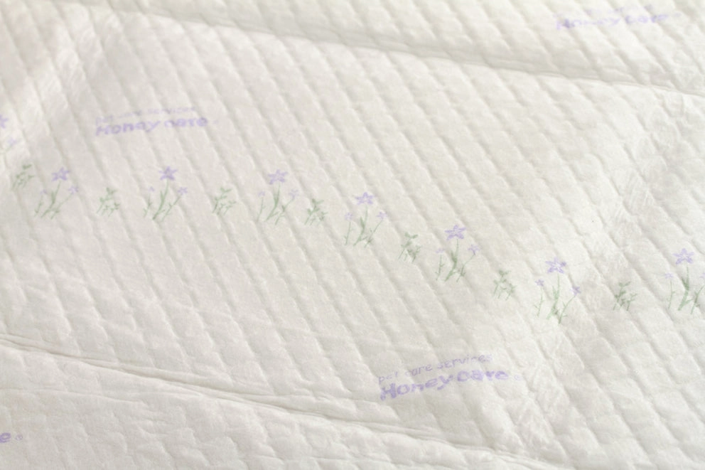 BUNDLE DEAL: Honey Care U-Play Lavender Pee Pad