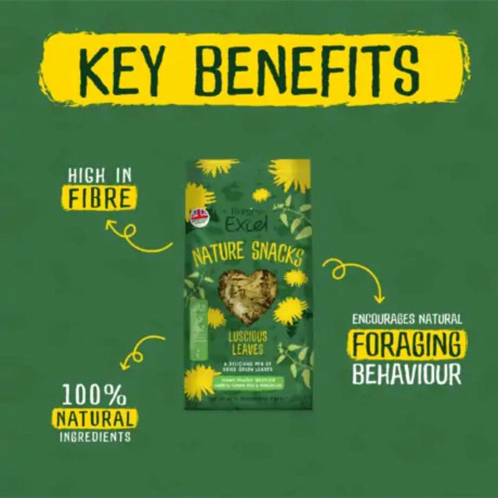 Burgess Excel Nature Snacks Luscious Leaves Treats For Small Animals 60g