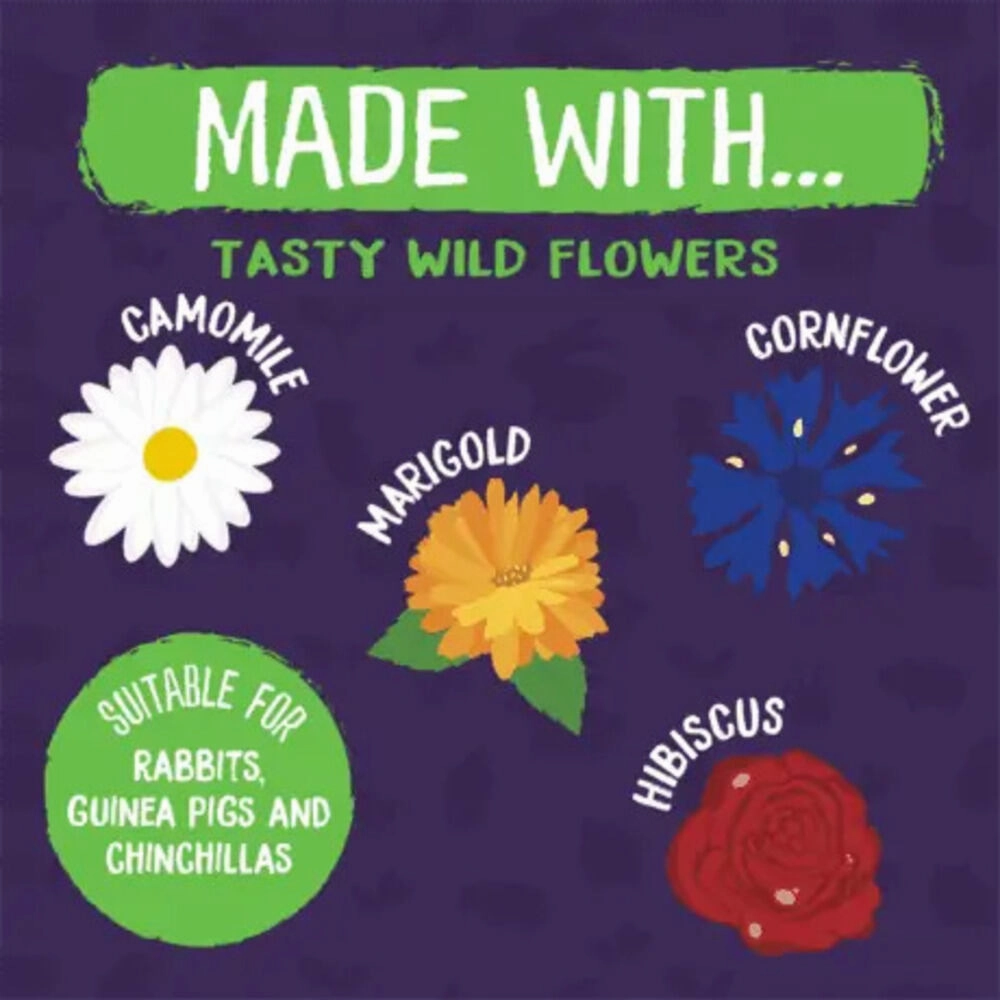 Burgess Excel Nature Snacks Wildflower Forage Treats For Small Animals 75g