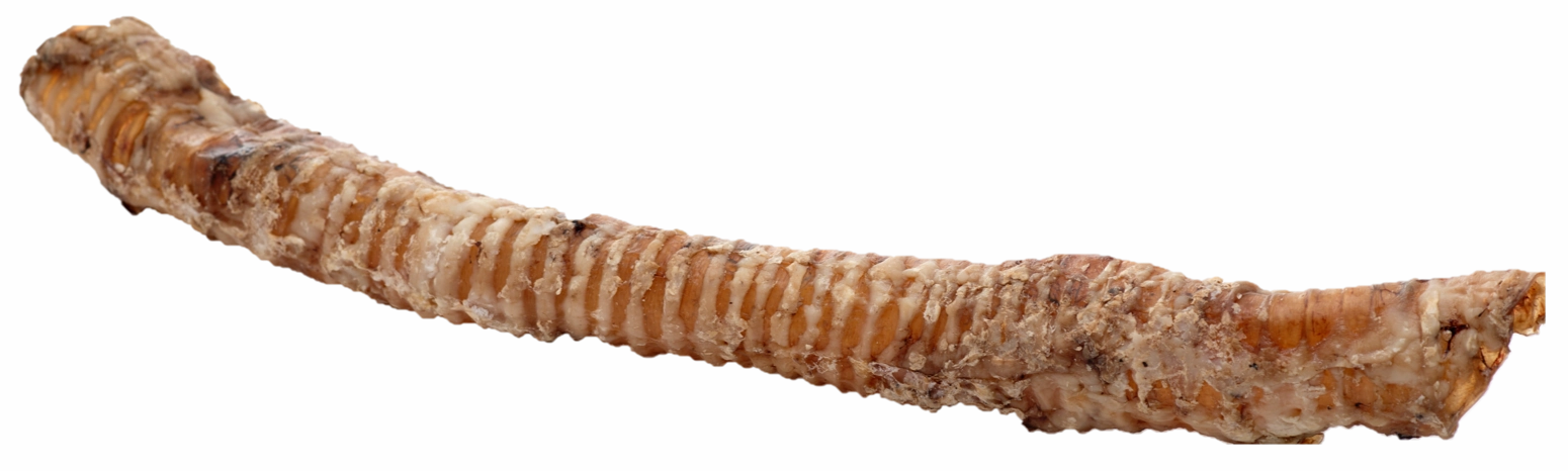 Butcher's Block Pet Treats Individual Whole Krunchie Tube Wrapped Trachea 17-21" *NEW UPC*