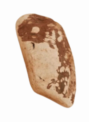 Canophera Briar Root Chew