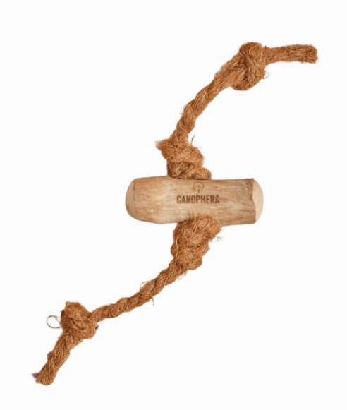 Canophera Coffee Wood Chew W/ Coconut Rope