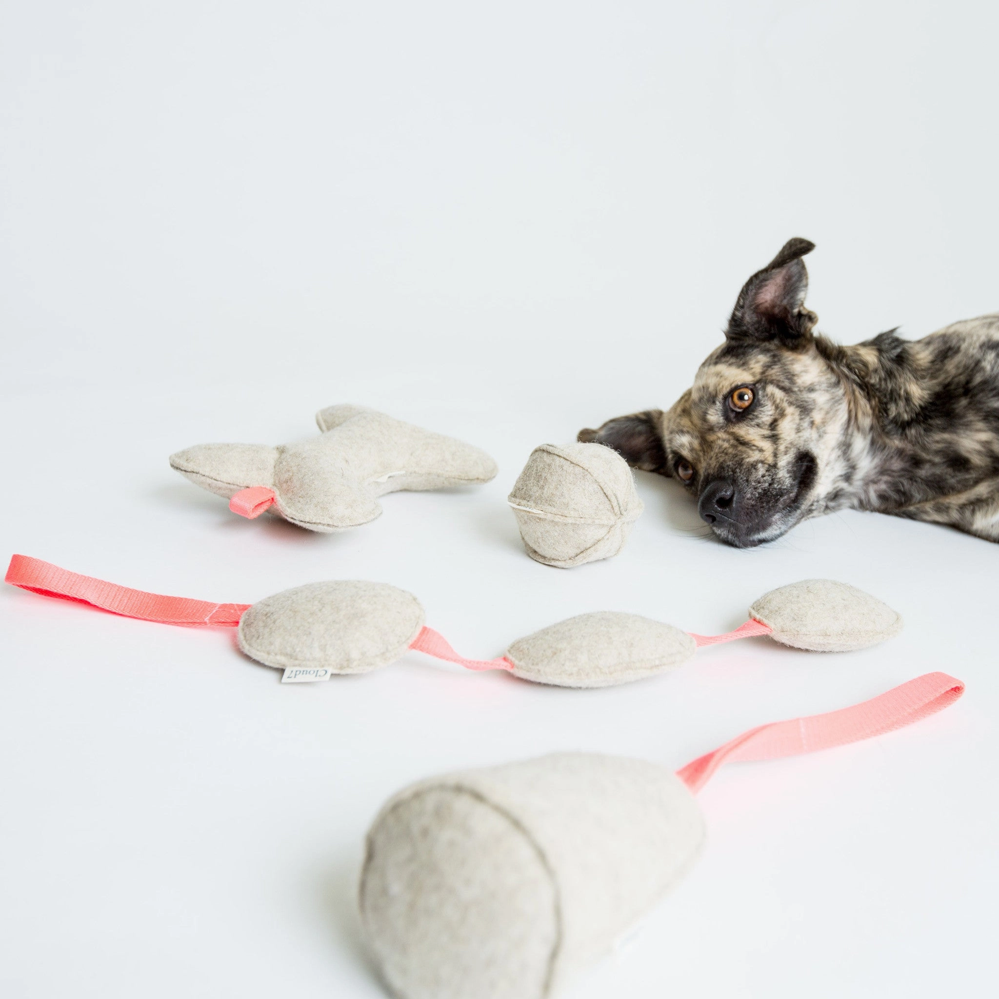 Cloud7 Dog Toy Felt Cone