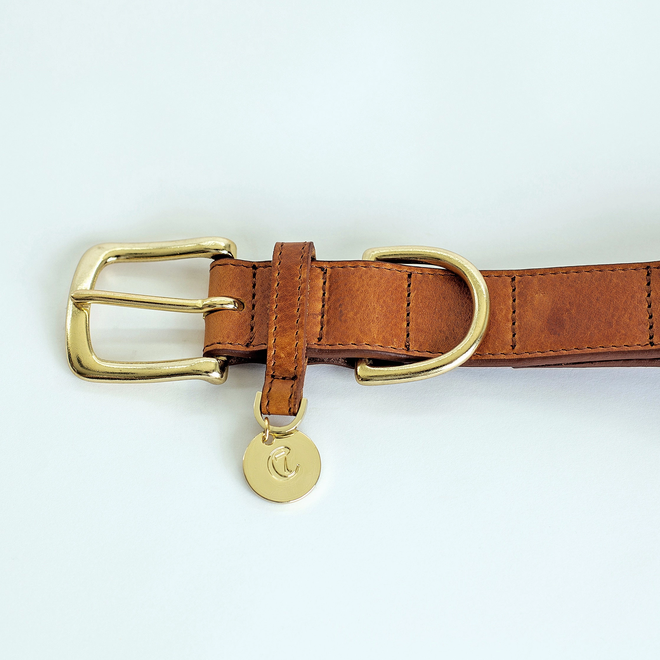 Cloud7: Hyde Park Dog Collar in Cognac