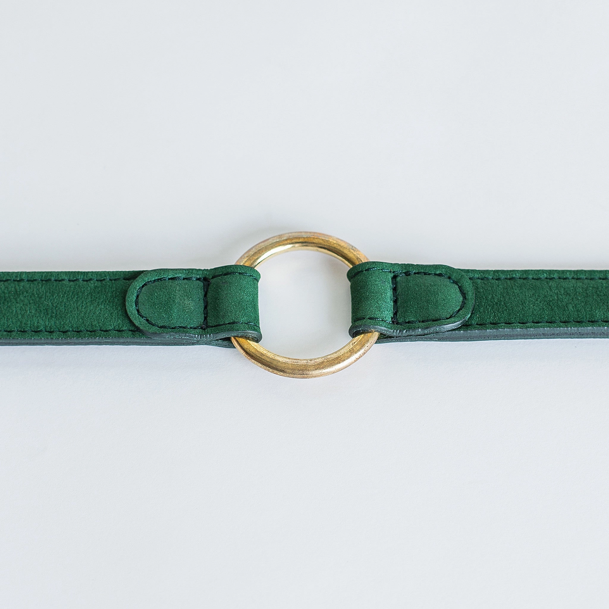 Cloud7: Tiergarten Nubuck Dog Collar in Green