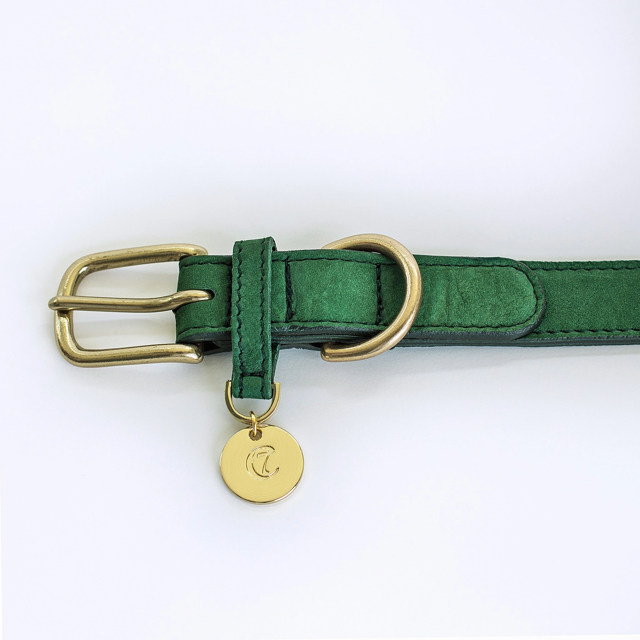 Cloud7: Tiergarten Nubuck Dog Collar in Green