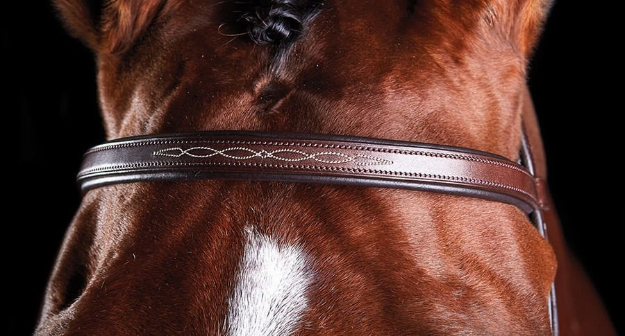 Collegiate ComFITec Fancy Stitch Bridle