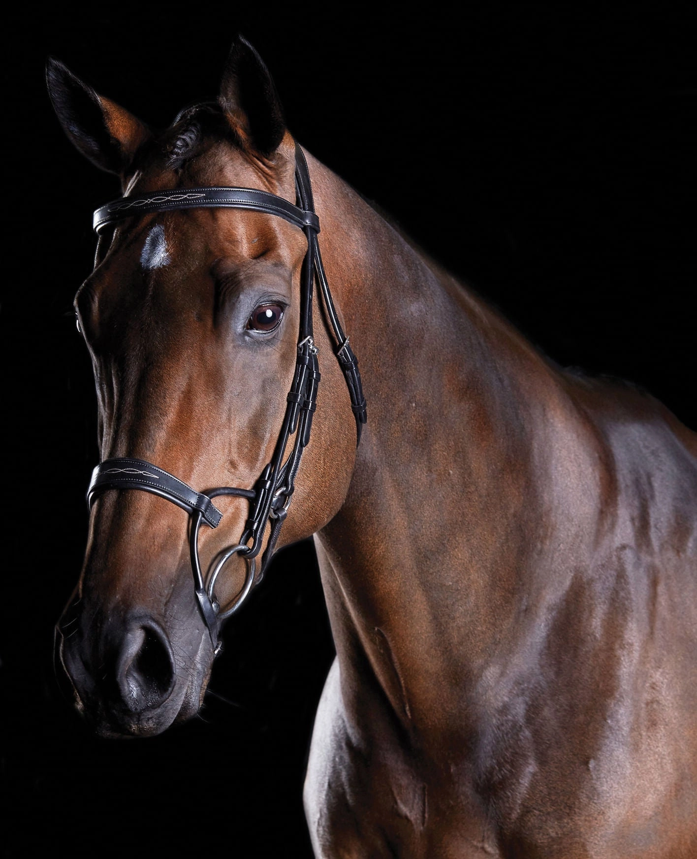 Collegiate ComFITec Fancy Stitch Bridle